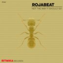 Rojabeat - Not The Way It Should Go