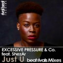 Excessive Pressure & Co. feat. ShezAr - Just U