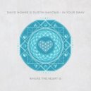Dustin Nantais, David Hohme - In Your Sway