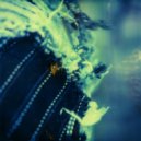 Somfay - Tomorrow\'s Yesterday Is Today (Original Mix)