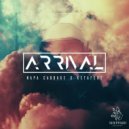 Ketafere & Napa Cabbage - Arrival