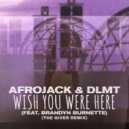 Afrojack & DLMT feat. Brandyn Burnette - Wish You Were Here