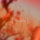 Shai T - Miracles