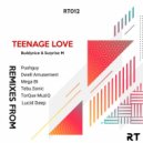 Buddynice & Surprise M - Teenage Love