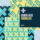 Damon Hess - Visionless (Original Mix)