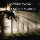 Camden Place - Too Much Space