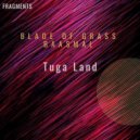 A Blade of Grass & Baasmal - Viseu