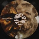 Radu Mirica, Salishteanul - Dream Catchers (Original Mix)