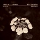 MyShadow - Funky Sound (Original Mix)