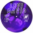 Levi David - Entropy