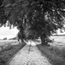 Bummelzug:Acht - The Ride