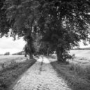 Bummelzug:Acht - The Ride
