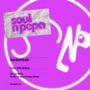 Systemfunk - Fools