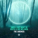 Sue McLaren, Amos & Riot Night, Destia - The Answer