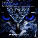 Enigma State - Into the Nova