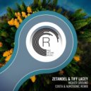 Zetandel & Tiff Lacey - Higher Ground