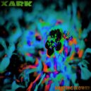 Xark - Get Some Visuals