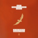 BCee, Charlotte Haining & Tempza - In The Moment