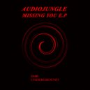 AudioJungle - Missing You