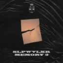 SLPWVLKR - MEMORY 3