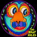 Richard Ulh - Super Fly