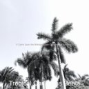 Tropical Christmas Beats - Christmas 2020 Ding Dong Merrily on High ()