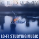CHILLOUT MONKEY - THE MASSIVE ONE