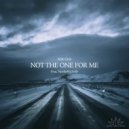 Able Grey & NoelleMichelle - Not The One For Me (feat. NoelleMichelle)