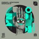 Starkato & Intaktogene - Impulse