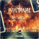 Julio Neto & Carlo Medel - Pantanal