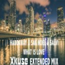 Haddaway x Sak Noel Salvi - What Is Love (Xkuse Extended Mix)