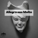 FEIHVR - Allegro Non Molto