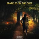 Flund - Sparkles In The Dust