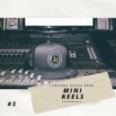Lowdown Brass Band - LowDown Mini Reel #3 (Paradise) ()