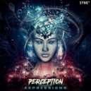 Perception - Expressions