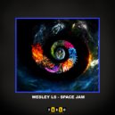 Wesley LS - Space Jam (Original mix)
