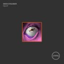 Simon Stiglmeier - Flight