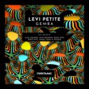 Levi Petite & Ivan Medmon - Gemba (Ivan Medmon Remix)