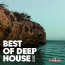Jakle - Never Liked You (Extended Mix)