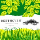 Vienna State Opera Orchestra - Symphony No. 6 In F Major, Op. 68: III. Allegro; IV. Allegro; V. Allegretto