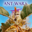 Hayai - Ant Wars ()