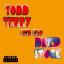 Todd Terry & Dred Stock - Dred Head
