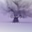 Bross (RO) - Trubadour Du Puentes