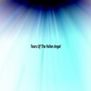 Osc Project - Tears Of The Fallen Angel