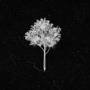 Chillhop Music & LO-FI BEATS - Only you know