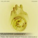 Vladimir Lebedev & Yulua Oreshko - Feel Me Here (Original Mix)