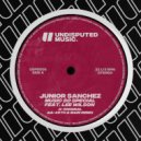 Junior Sanchez Ft. Lee Wilson - Music So Special