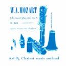 The Classic String Quartet - 2nd movement - Larghetto