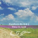 Panthera By B & J - Time To Acid (Part 3)