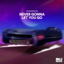 Soundwaves & Rickysee - Never Gonna Let You Go (feat. Rickysee)